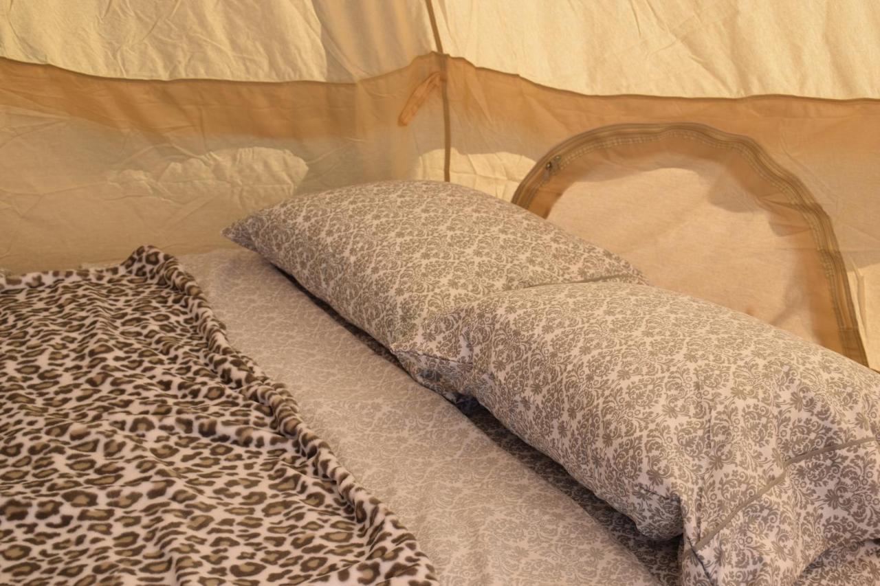 Starlight Tent 3 Holbrook Exterior foto